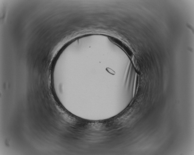 X0000097001511200802291135