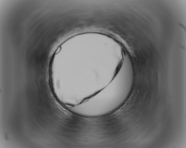 X0000097001512200802291135