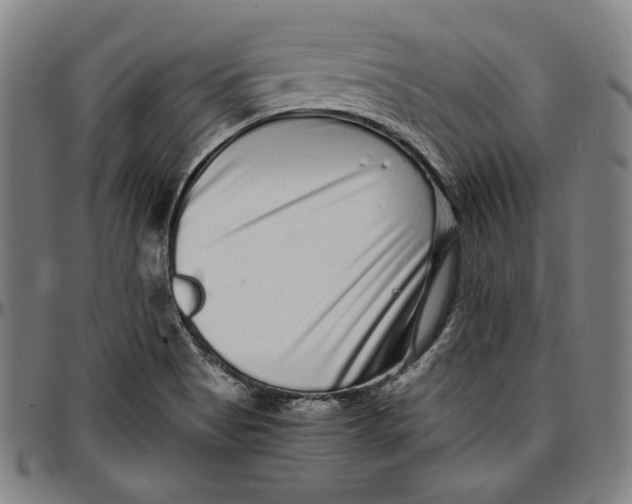 X0000097001513200802291135