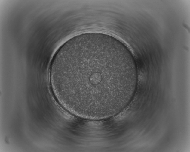 X0000097001514200802291135