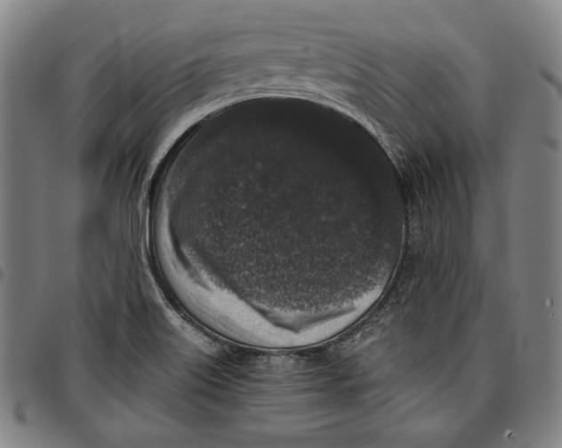 X0000097001515200802291135