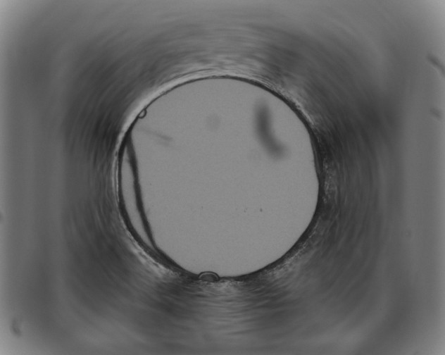 X0000097001516200802291135