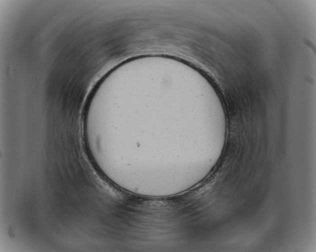 X0000097001517200802291135