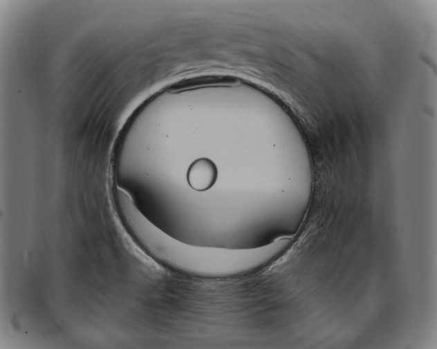 X0000097001518200802291135