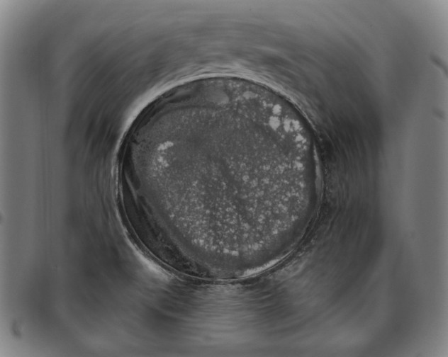 X0000097001519200802291135