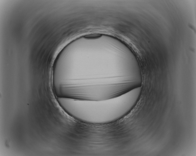 X0000097001520200802291135