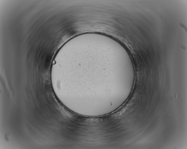 X0000097001521200802291135