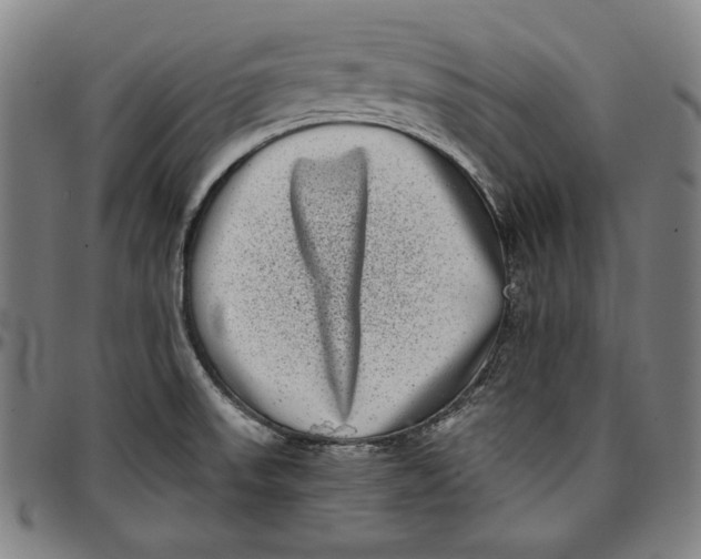 X0000097001523200802291135