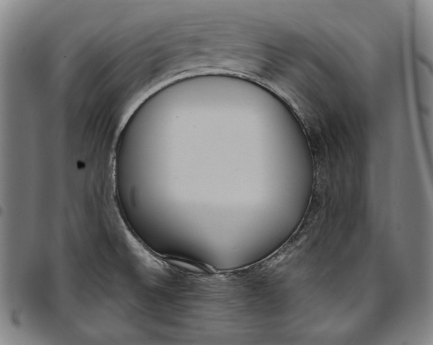 X0000097001524200802291135