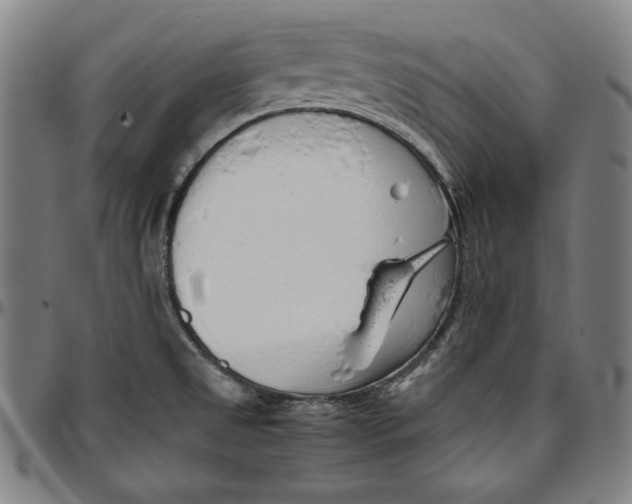 X0000097001525200802291135