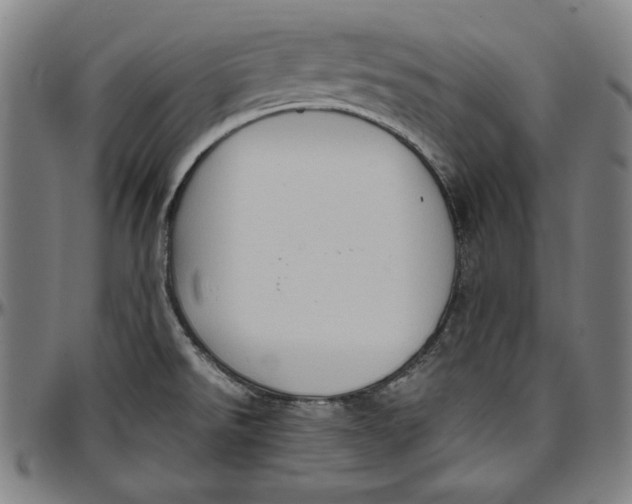 X0000097001526200802291135