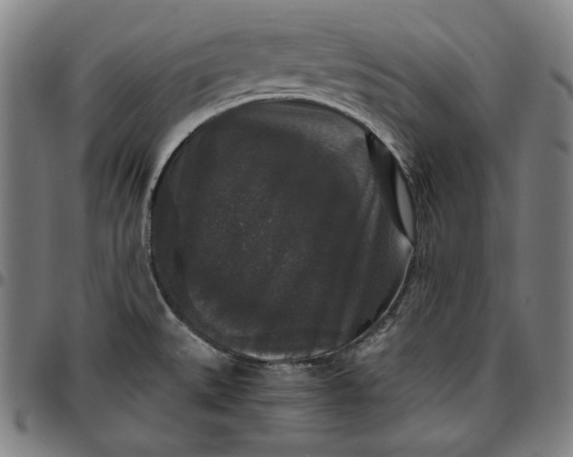 X0000097001527200802291135