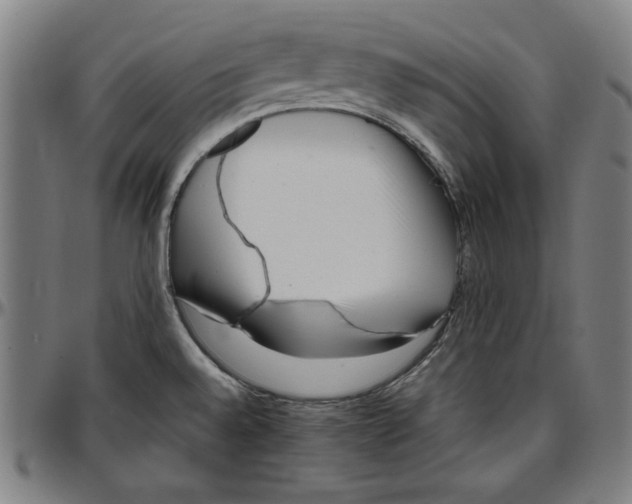 X0000097001528200802291135