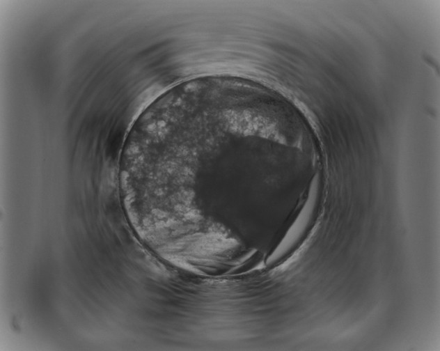 X0000097001529200802291135