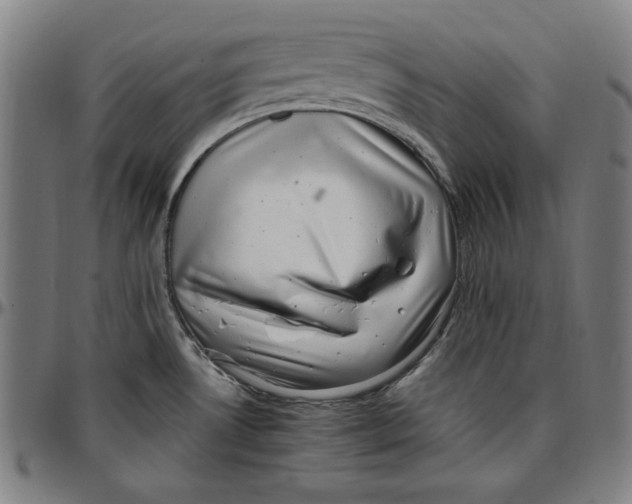 X0000097001530200802291135