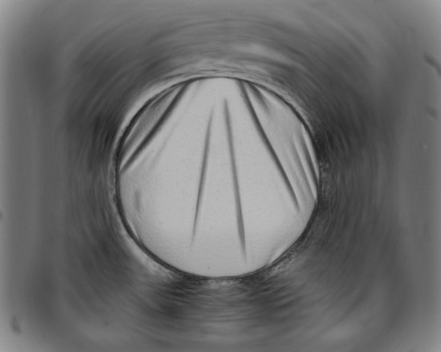 X0000097001531200802291135