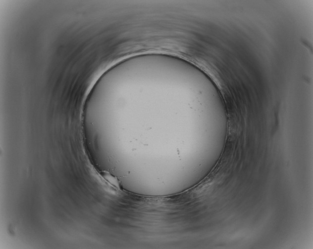 X0000097001532200802291135