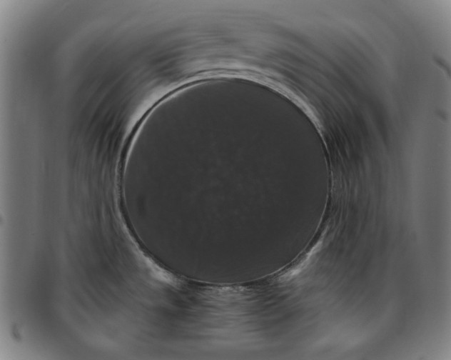 X0000097001533200802291135