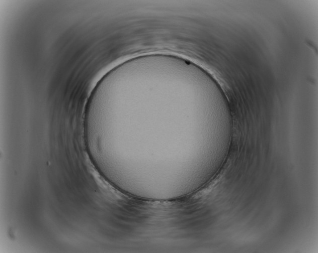 X0000097001534200802291135