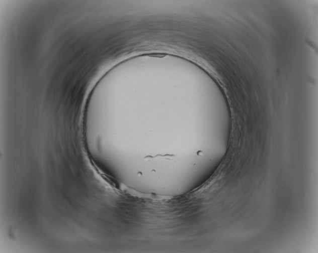 X0000097001536200802291135