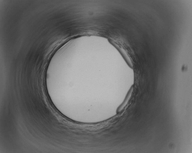 X0000097000001200803071128