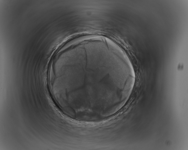 X0000097000002200803071128