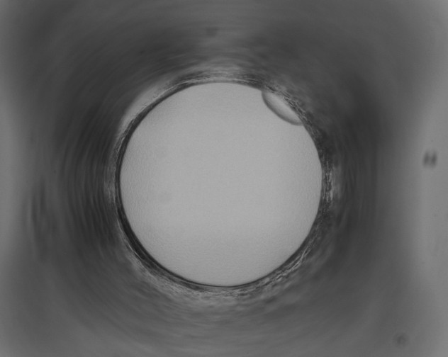 X0000097000004200803071128
