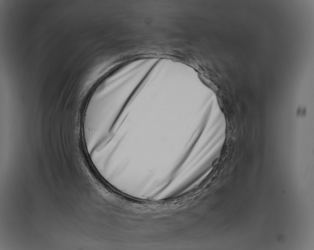 X0000097000005200803071128