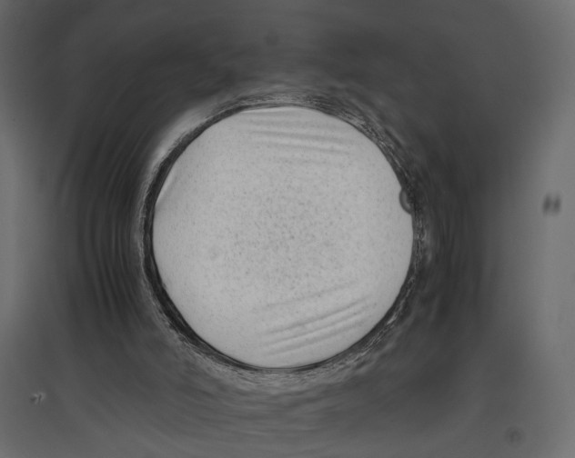 X0000097000006200803071128