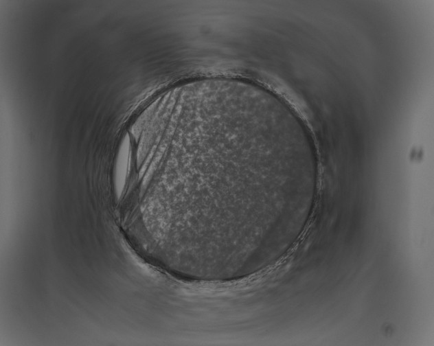 X0000097000009200803071128