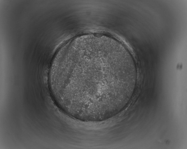 X0000097000010200803071128