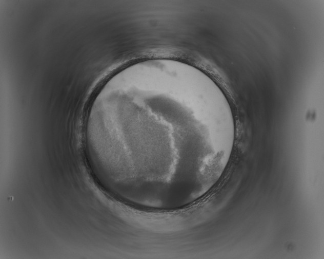 X0000097000012200803071128