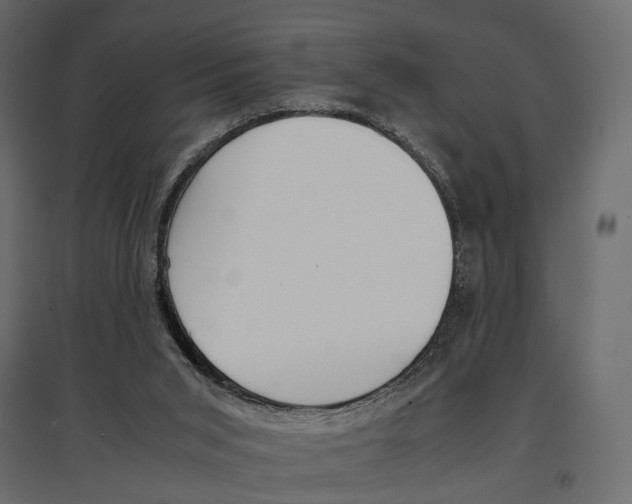 X0000097000015200803071128