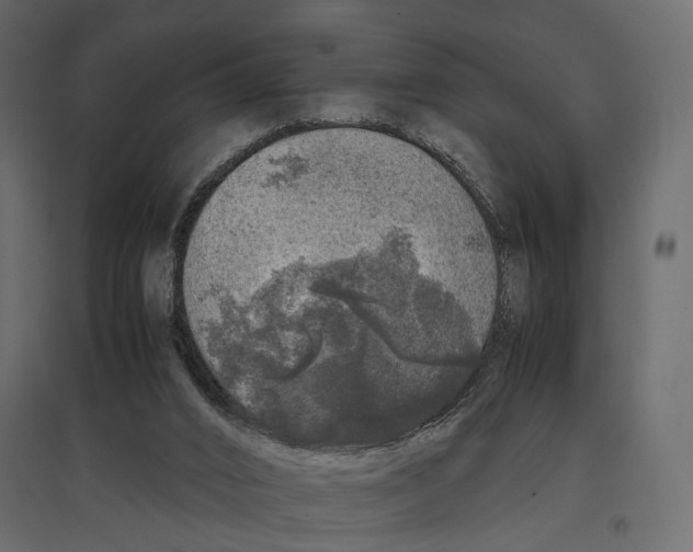 X0000097000016200803071128