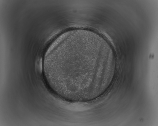 X0000097000020200803071128