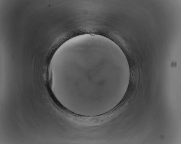 X0000097000023200803071128