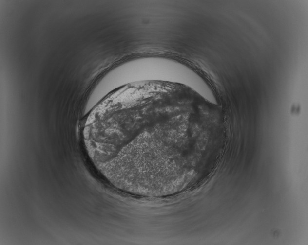X0000097000024200803071128
