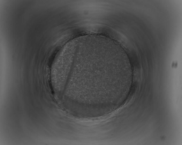 X0000097000029200803071128