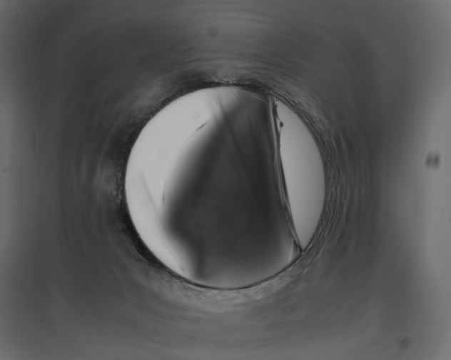 X0000097000031200803071128