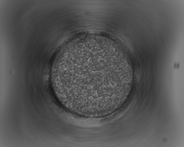 X0000097000032200803071128