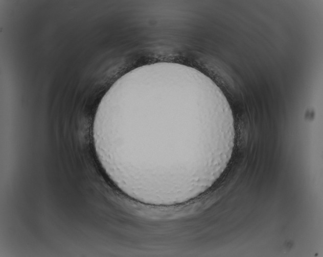 X0000097000034200803071128