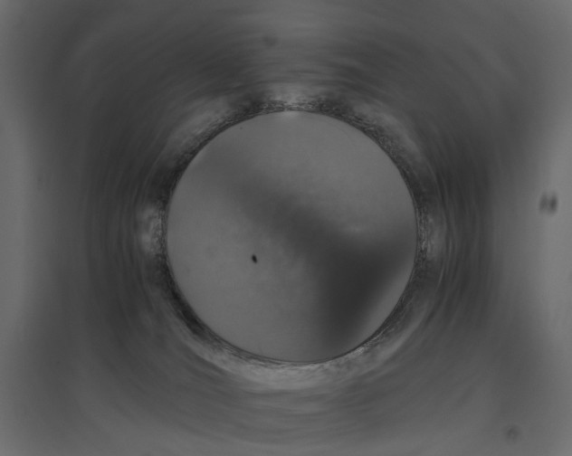 X0000097000036200803071128