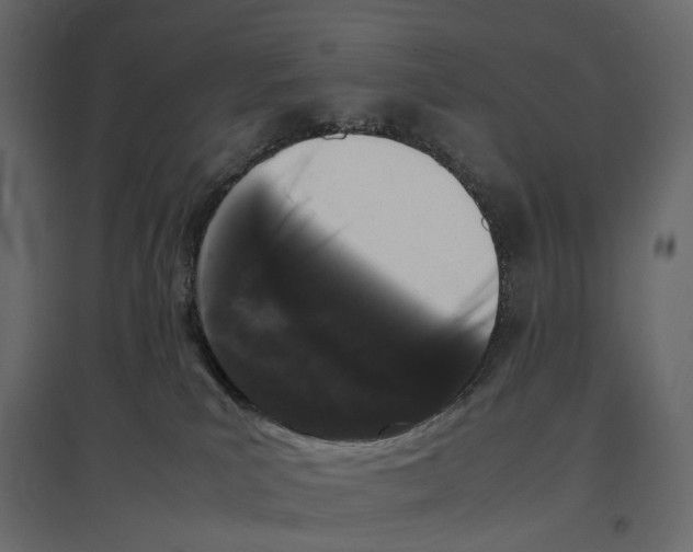 X0000097000039200803071128