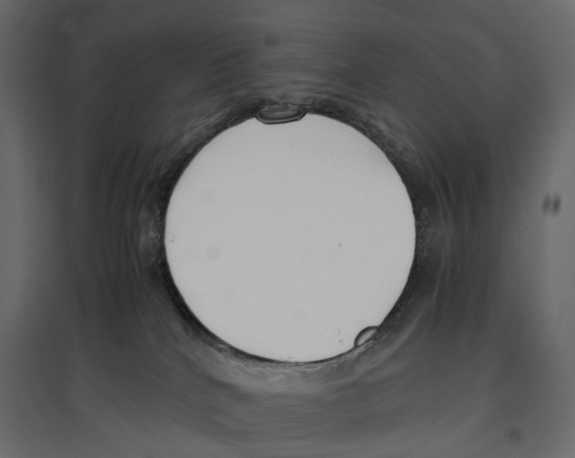 X0000097000040200803071128