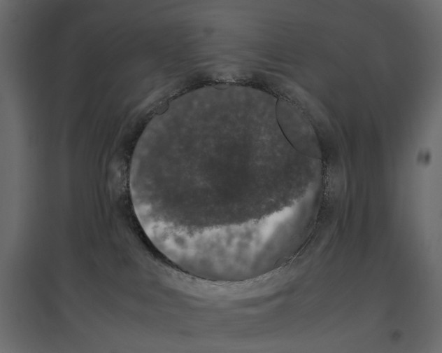 X0000097000043200803071128