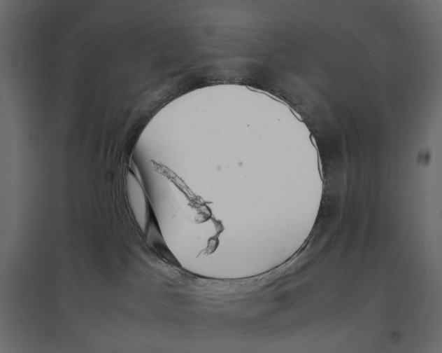 X0000097000045200803071128