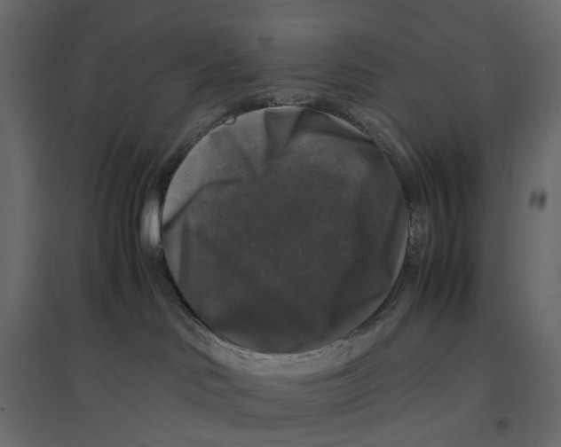 X0000097000046200803071127