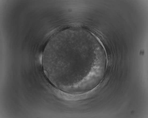 X0000097000047200803071127