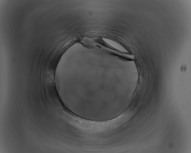 X0000097000048200803071127