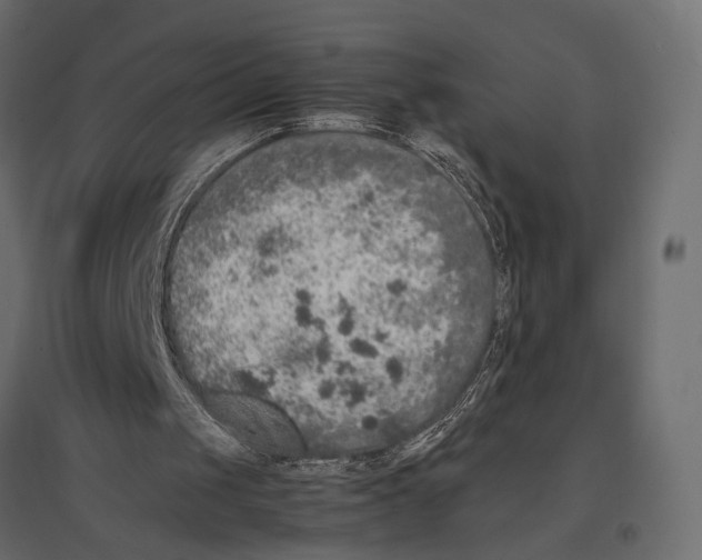 X0000097000049200803071127